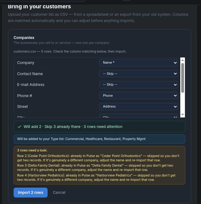 Pulse customer import preview: will add 2, skip 3 already there, with the reason for each skipped row